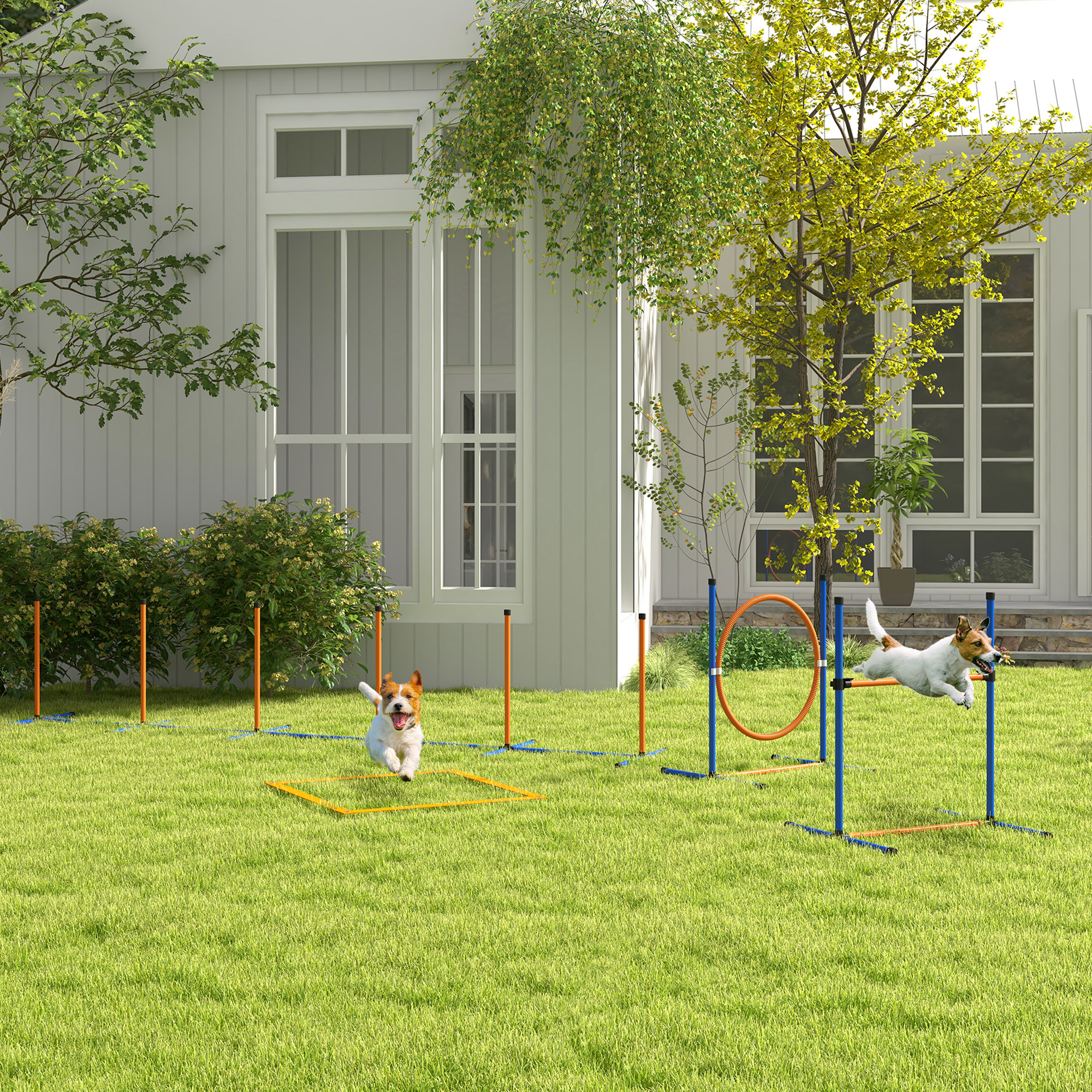 Immagine prodotto - Set addestramento cane da giardino
