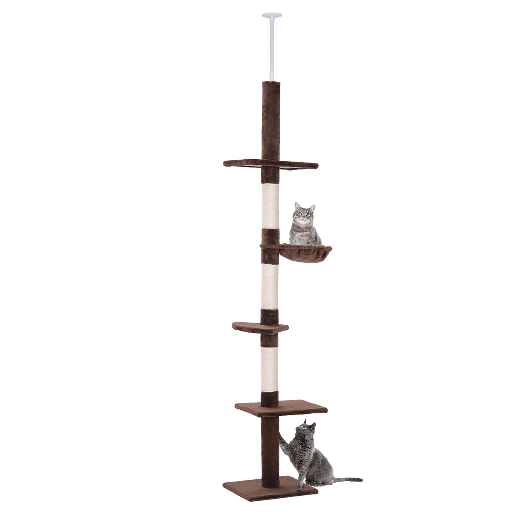 Albero tiragraffi a soffitto per gatti