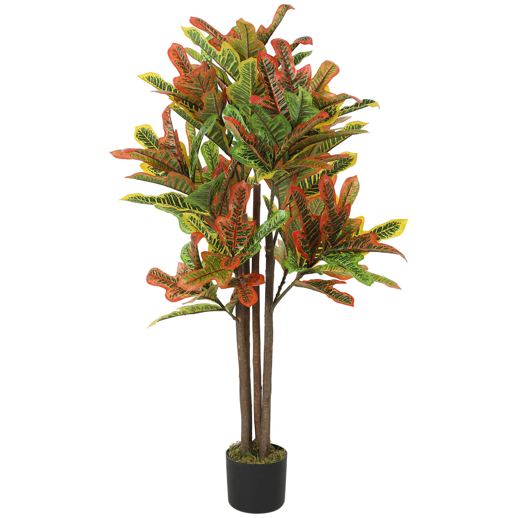 Dettaglio foglie pianta artificiale Croton