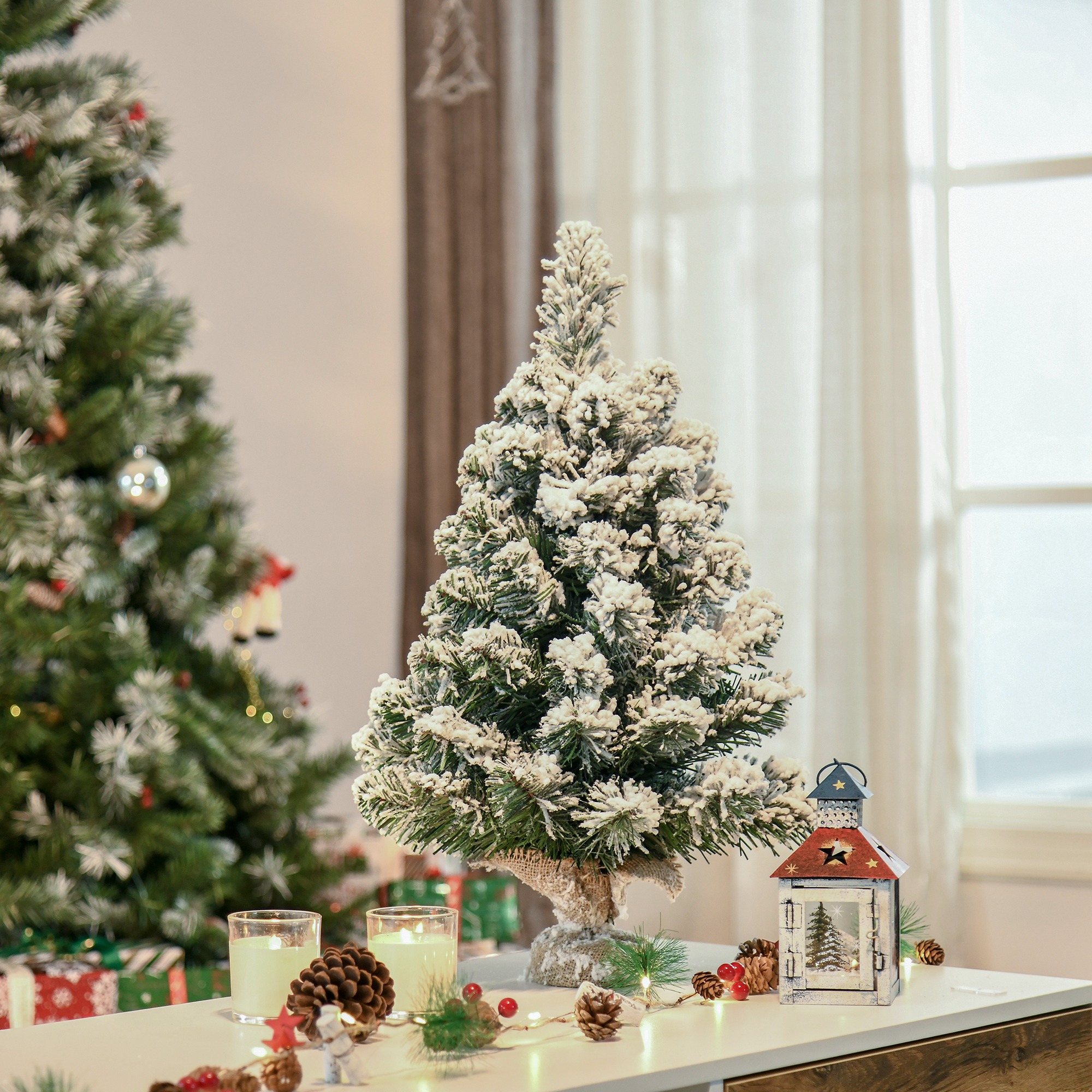 Vista base - Mini albero con base in cemento